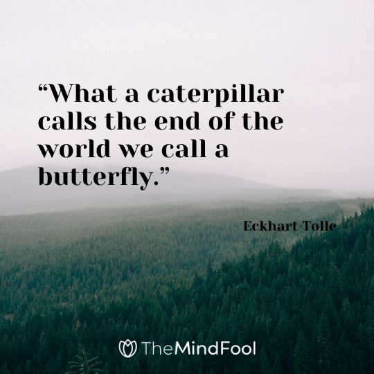 “What a caterpillar calls the end of the world we call a butterfly.” - Eckhart Tolle