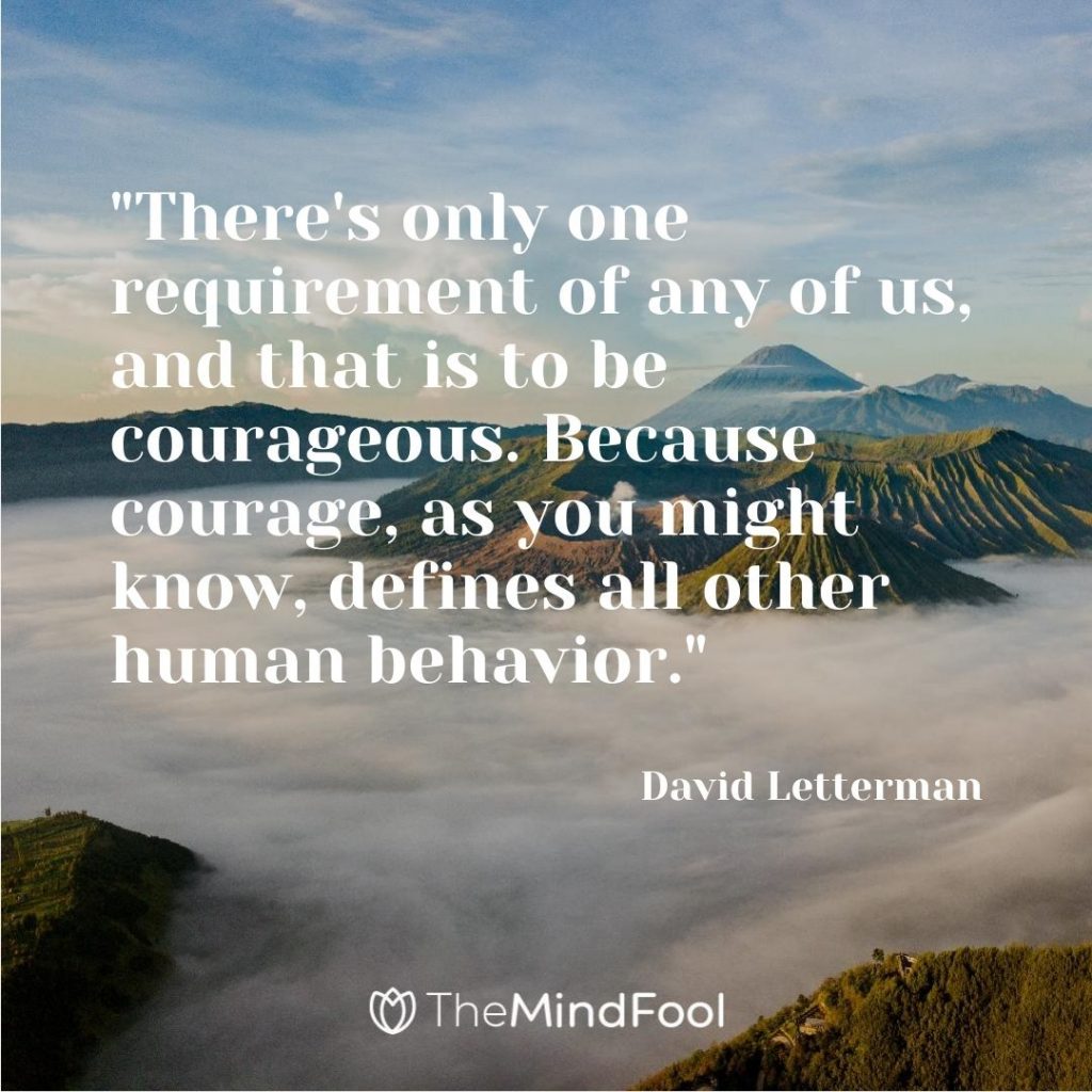 "There's only one requirement of any of us, and that is to be courageous. Because courage, as you might know, defines all other human behavior."- David Letterman