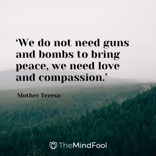 ‘We do not need guns and bombs to bring peace, we need love and compassion.’ - Mother Teresa