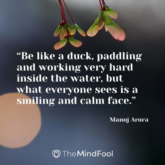 “Be like a duck, paddling and working very hard inside the water, but what everyone sees is a smiling and calm face.” – Manoj Arora