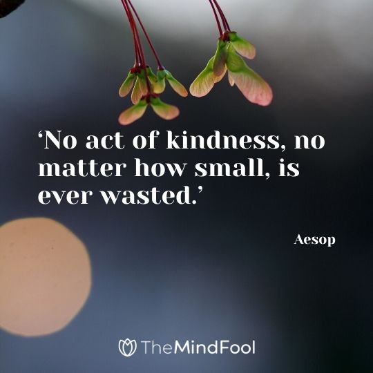 ‘No act of kindness, no matter how small, is ever wasted.’ -  Aesop