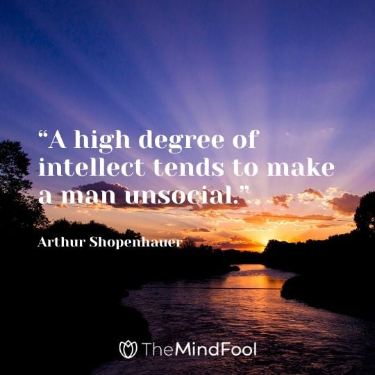 “A high degree of intellect tends to make a man unsocial.” - Arthur Shopenhauer