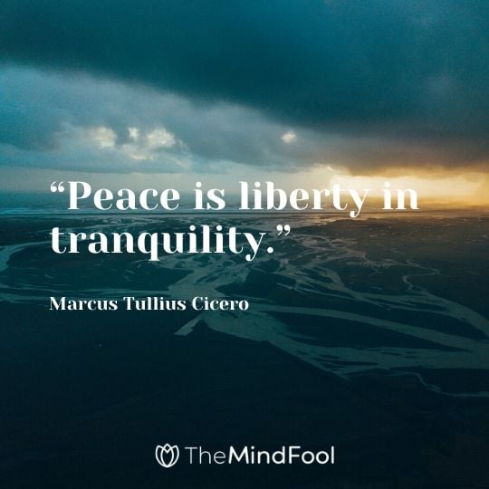 “Peace is liberty in tranquility.” - Marcus Tullius Cicero