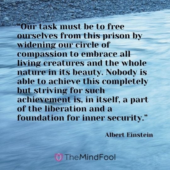 “Our task must be to free ourselves from this prison by widening our circle of compassion to embrace all living creatures and the whole nature in its beauty. Nobody is able to achieve this completely but striving for such achievement is, in itself, a part of the liberation and a foundation for inner security.” - Albert Einstein