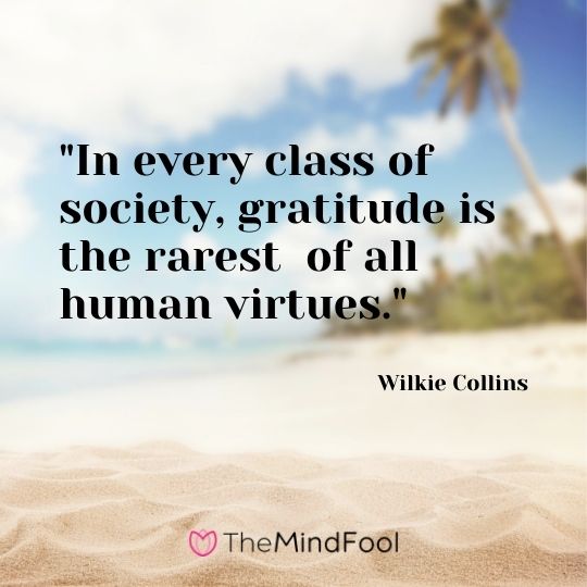 "In every class of society, gratitude is the rarest  of all human virtues." - Wilkie Collins