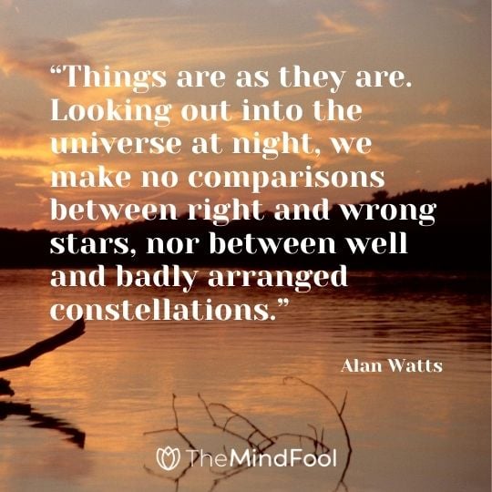 “Things are as they are. Looking out into the universe at night, we make no comparisons between right and wrong stars, nor between well and badly arranged constellations.” - Alan Watts