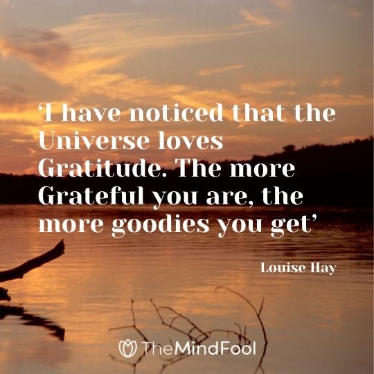 ‘I have noticed that the Universe loves Gratitude. The more Grateful you are, the more goodies you get’ -  Louise Hay