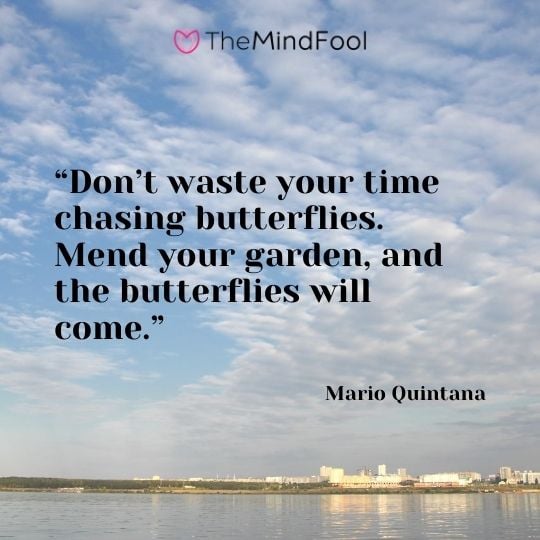 “Don’t waste your time chasing butterflies. Mend your garden, and the butterflies will come.” - Mario Quintana