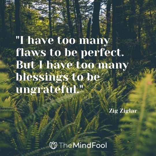 "I have too many flaws to be perfect. But I have too many blessings to be ungrateful." - Zig Ziglar 