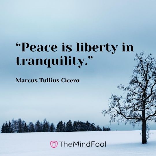 “Peace is liberty in tranquility.” – Marcus Tullius Cicero