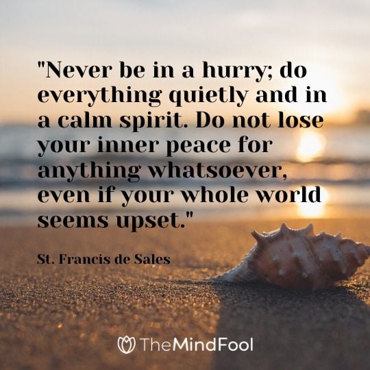 "Never be in a hurry; do everything quietly and in a calm spirit. Do not lose your inner peace for anything whatsoever, even if your whole world seems upset." - St. Francis de Sales