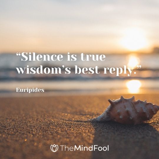 “Silence is true wisdom’s best reply.” – Euripides