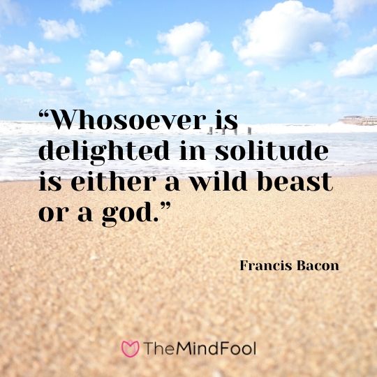 “Whosoever is delighted in solitude is either a wild beast or a god.” – Francis Bacon