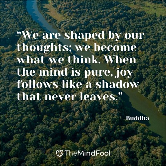 “We are shaped by our thoughts; we become what we think. When the mind is pure, joy follows like a shadow that never leaves.” - Buddha