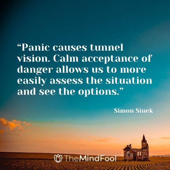 “Panic causes tunnel vision. Calm acceptance of danger allows us to more easily assess the situation and see the options.” – Simon Sinek