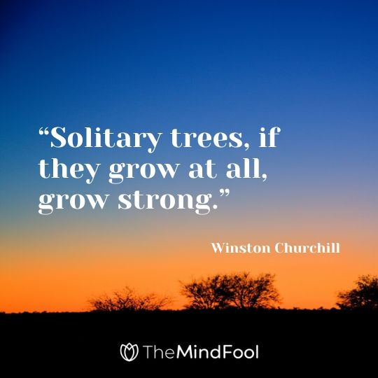 “Solitary trees, if they grow at all, grow strong.” - Winston Churchill