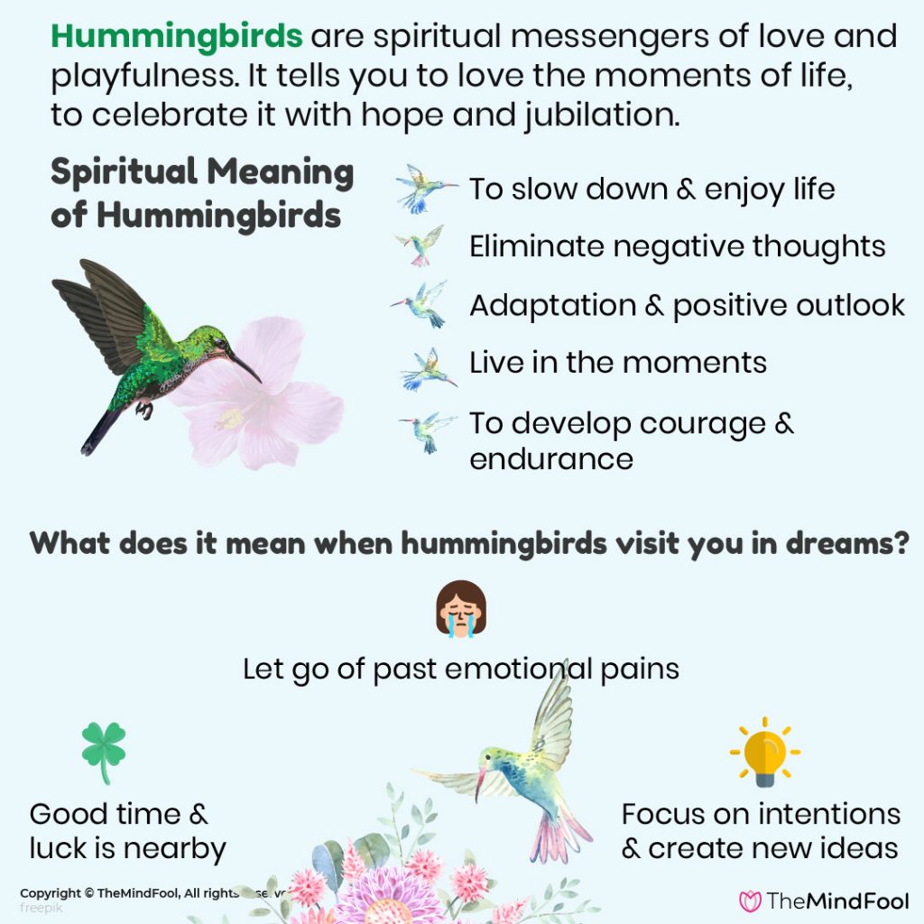 hummingbird meaning