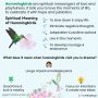 hummingbird spiritual meaning