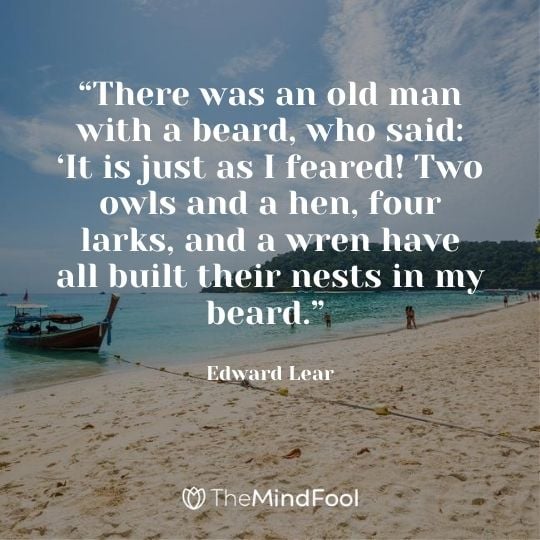 “There was an old man with a beard, who said: ‘It is just as I feared! Two owls and a hen, four larks, and a wren have all built their nests in my beard.” – Edward Lear