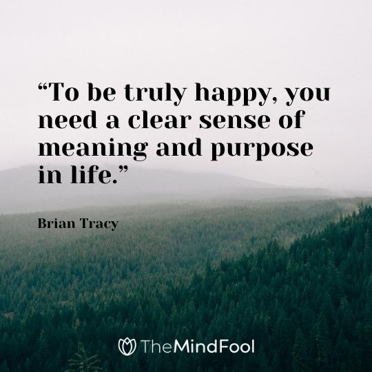 “To be truly happy, you need a clear sense of meaning and purpose in life.” -Brian Tracy