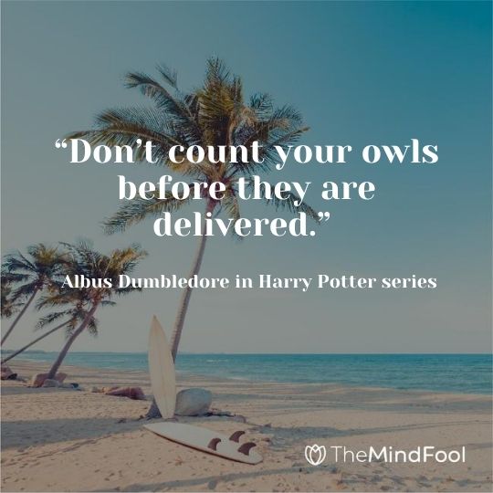 “Don’t count your owls before they are delivered.” ~ Albus Dumbledore in Harry Potter series