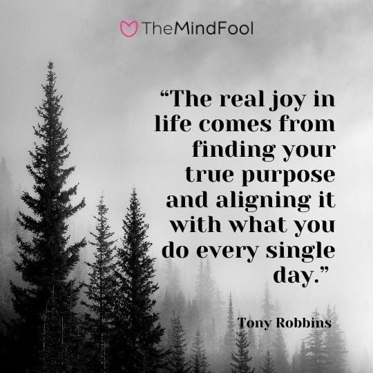 “The real joy in life comes from finding your true purpose and aligning it with what you do every single day.” - Tony Robbins