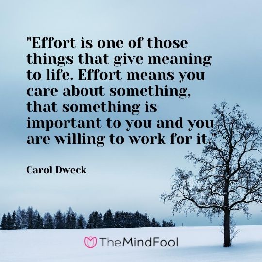 "Effort is one of those things that give meaning to life. Effort means you care about something, that something is important to you and you are willing to work for it."---Carol Dweck