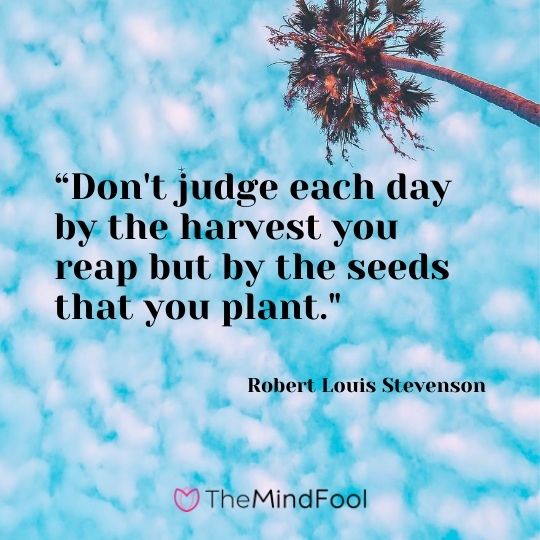 “Don't judge each day by the harvest you reap but by the seeds that you plant."---Robert Louis Stevenson