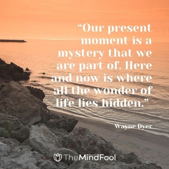 “Our present moment is a mystery that we are part of. Here and now is where all the wonder of life lies hidden.” – Wayne Dyer