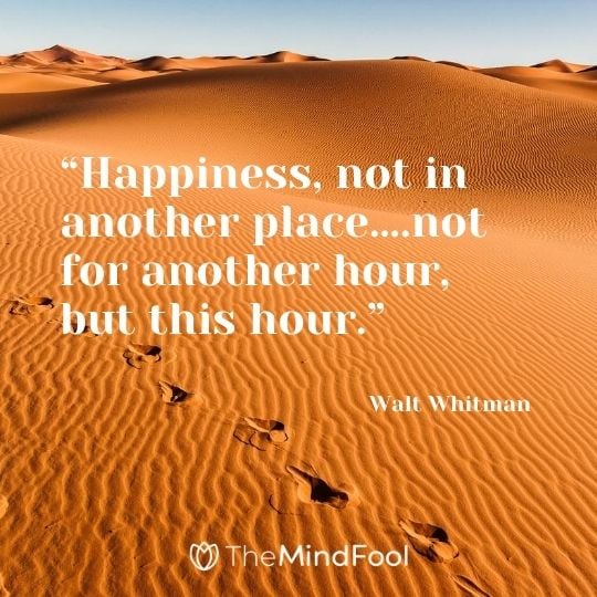 “Happiness, not in another place….not for another hour, but this hour.” – Walt Whitman