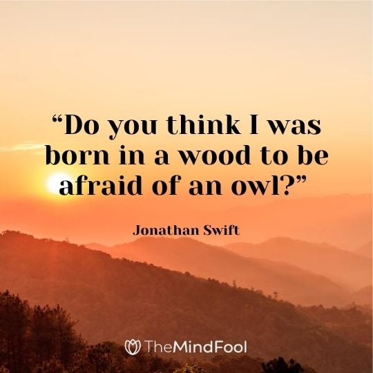 “Do you think I was born in a wood to be afraid of an owl?” – Jonathan Swift