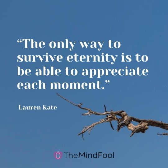 “The only way to survive eternity is to be able to appreciate each moment.” – Lauren Kate