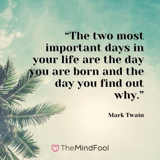 “The two most important days in your life are the day you are born and the day you find out why.”---Mark Twain