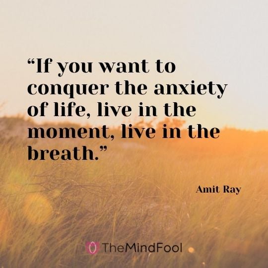 “If you want to conquer the anxiety of life, live in the moment, live in the breath.” – Amit Ray