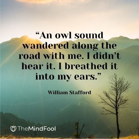 “An owl sound wandered along the road with me. I didn’t hear it. I breathed it into my ears.” – William Stafford