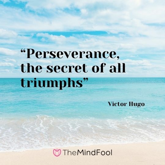 "Perseverance, the secret of all triumphs" – Victor Hugo