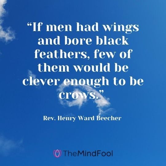 “If men had wings and bore black feathers, few of them would be clever enough to be crows.” – Rev. Henry Ward Beecher