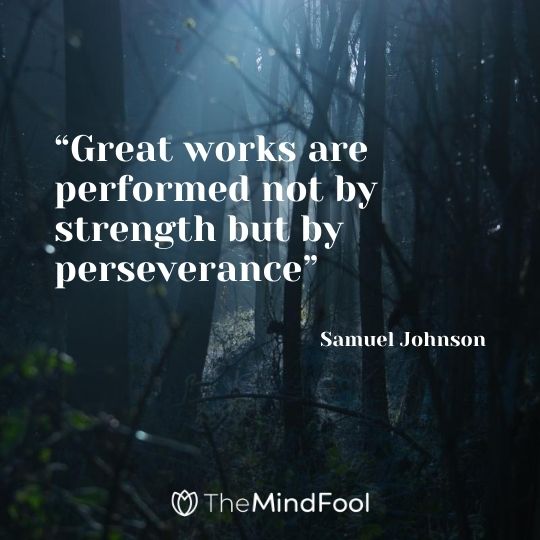 “Great works are performed not by strength but by perseverance”---Samuel Johnson