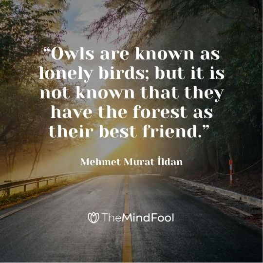 “Owls are known as lonely birds; but it is not known that they have the forest as their best friend.” – Mehmet Murat İldan