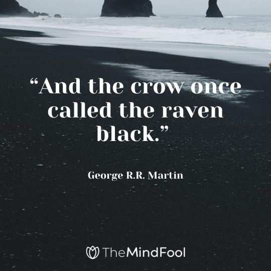 “And the crow once called the raven black.” – George R.R. Martin