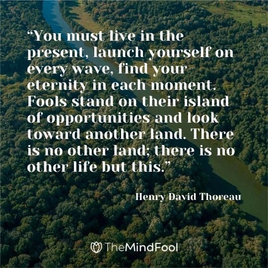 “You must live in the present, launch yourself on every wave, find your eternity in each moment. Fools stand on their island of opportunities and look toward another land. There is no other land; there is no other life but this.” – Henry David Thoreau