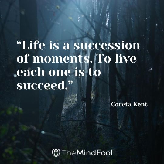 101 Live in the Moment Quotes for Inspired Living