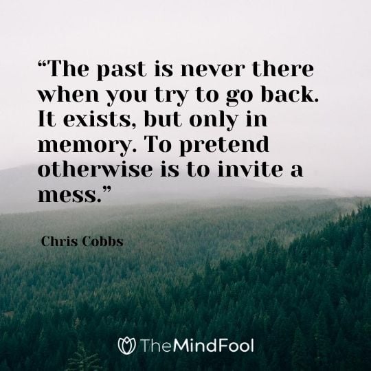 “The past is never there when you try to go back. It exists, but only in memory. To pretend otherwise is to invite a mess.” – Chris Cobbs