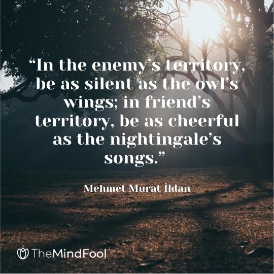 “In the enemy’s territory, be as silent as the owl’s wings; in friend’s territory, be as cheerful as the nightingale’s songs.” – Mehmet Murat İldan