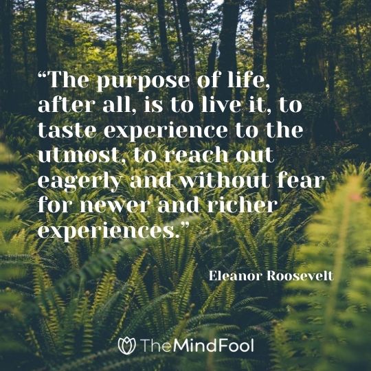 “The purpose of life, after all, is to live it, to taste experience to the utmost, to reach out eagerly and without fear for newer and richer experiences.” -Eleanor Roosevelt