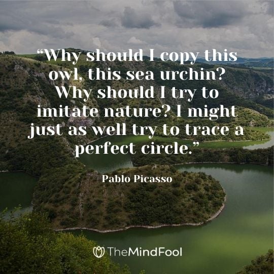 “Why should I copy this owl, this sea urchin? Why should I try to imitate nature? I might just as well try to trace a perfect circle.” –Pablo Picasso