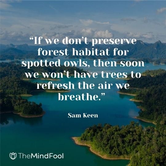 “If we don’t preserve forest habitat for spotted owls, then soon we won’t have trees to refresh the air we breathe.” – Sam Keen