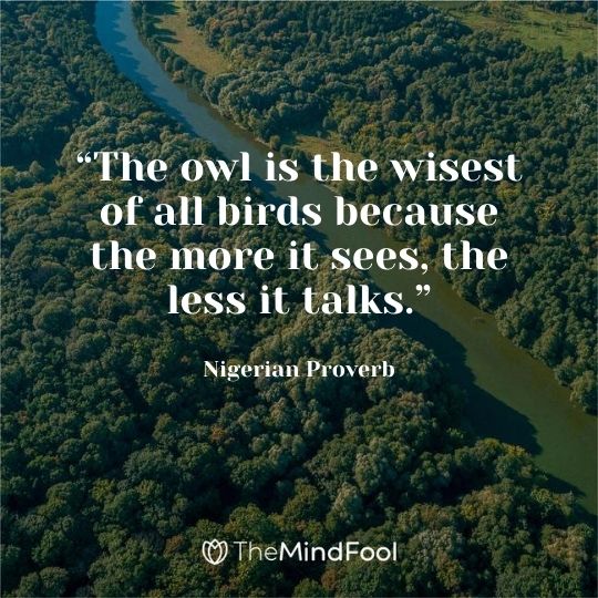 “The owl is the wisest of all birds because the more it sees, the less it talks.” –Nigerian Proverb