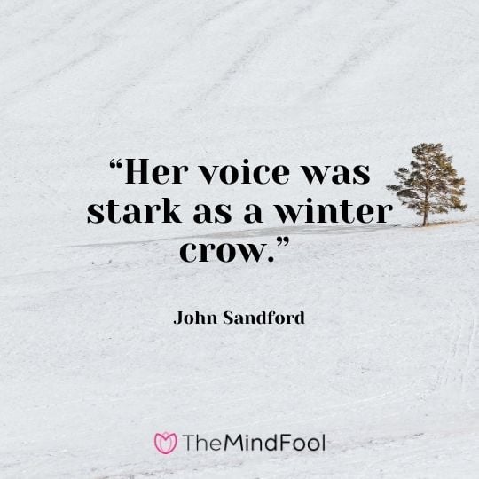“Her voice was stark as a winter crow.” – John Sandford