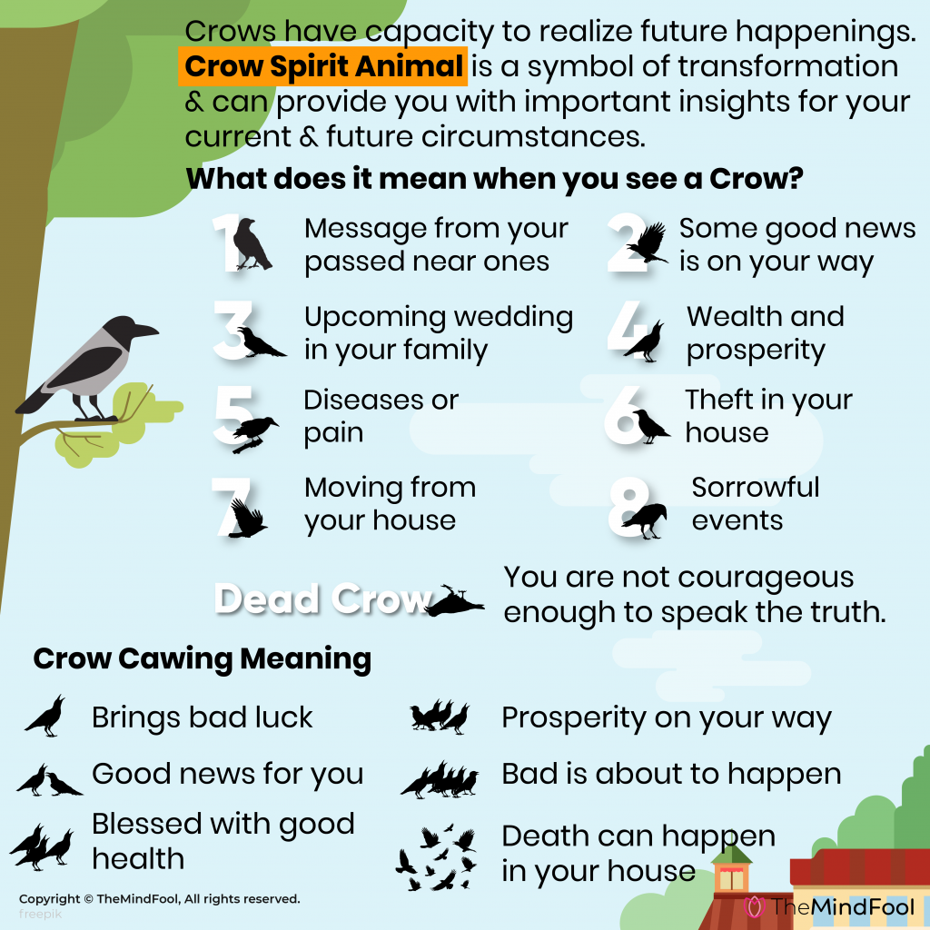 Crow Meaning Crow Symbolism Crow Spiritual Meaning, 50% OFF